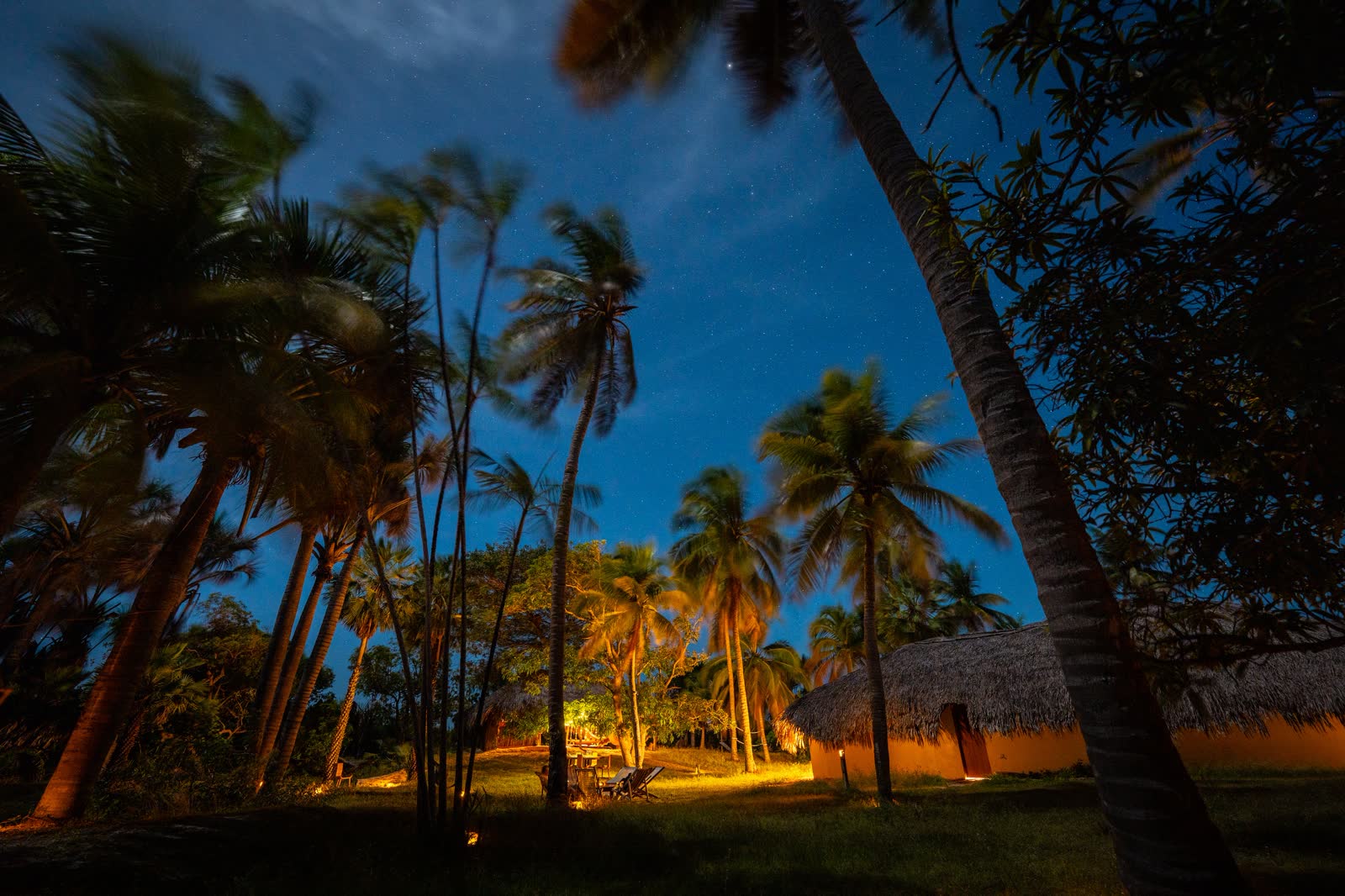 Jardim da Casa Patacas à noite
