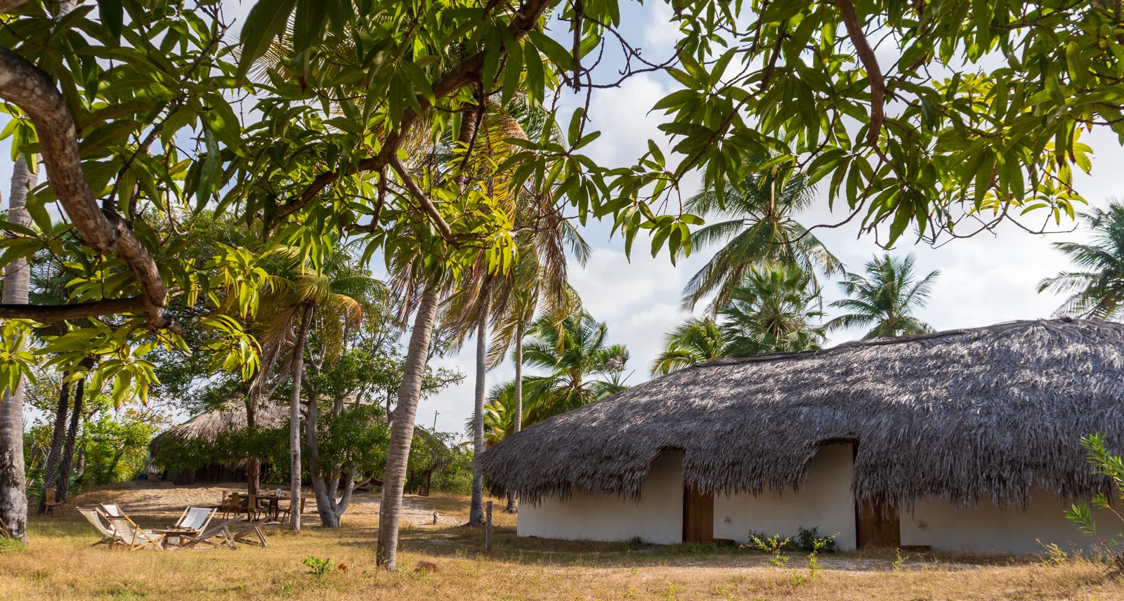 Casa Patacas — vista da casa entre a vegetação